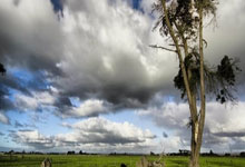 非凡娱乐:崔永熙登场魔术力克篮网6连胜 猛龙险胜热火.