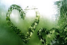 非凡娱乐：崔永熙登场魔术力克篮网6连胜 猛龙险胜热火.