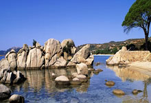 [网球]德约科维奇：见证门希克的成长与变化 令我惊叹.